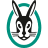 Vaillant Group